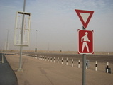 pedestrians crossing