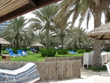 parasols in the park